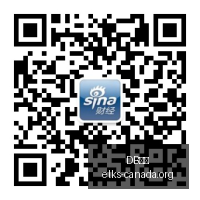 推荐,足球攻略周,瑞典超前瞻,DB体育,DB体育官网,DB体育app,DB体育直播